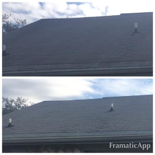 Roof Washing Tampa FL