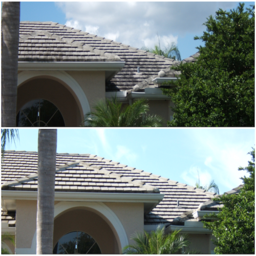 Roof Washing Tampa FL