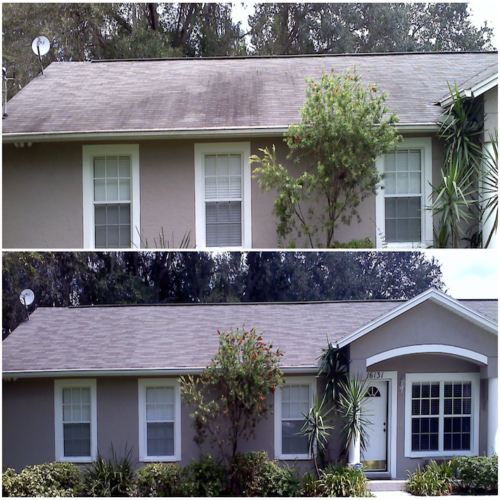 Roof Washing Tampa FL