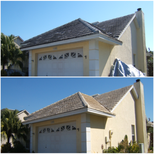 Roof Washing Tampa FL